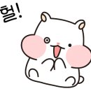 패러그린 대연점 이미지