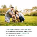 영어그림책과 파닉스 이미지