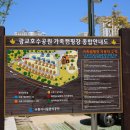광교호수공원 가족캠핑장 이미지