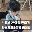 대보파트너스 | 노시부 신생아 사용시기 및 올바른 사용법, 부작용 주의사항 정리 (29개월 후기)