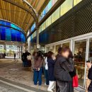 애플 피시 | 한티: 꽁티드툴레아 더콘란샵점 오픈런 후기(김치볶음밥,피시&amp;칩스)