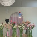 산호대로-31 | 구미꽃집 구미옥계꽃집 데이지샵