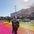 제주종합경기장 애향운동장 | 및 축제] 2025 제2회 차 없는거리 걷기 행사 다녀왔어요! (제주 애향운동장에서 JIBS제주방송 왕복 4km)