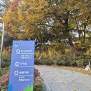 밝은숲어린이집 | 충북육아지원센터 어린이집 교사연수 │ 퍼스널컬러진단·이미지메이킹 역량강화 연수 후기