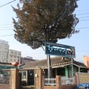 주정산로 이미지