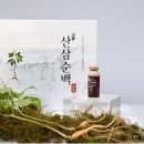 함양군산양산삼 | 지리산 산삼순백 7년근 산양산삼추출액 100% 추천, 지치던 아침이 몰라보게 쌩쌩해짐