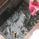 장호항펜션 이미지