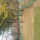 관문체육공원 내 이미지