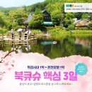 설렘여행사 이미지