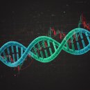 신풍구제 이미지