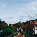 포레엠(Foret M) 이미지