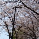 공원마트(슬러쉬)