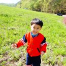 손톱에꽃 Daum카페