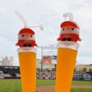 재성사 | 대전한화생명볼파크에서는 눈막고 귀감아