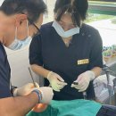 미소나래치과의원 이미지