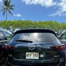 진이농장 | 여행] 계획 없는 우당탕탕 하와이 7박 9일 [5일차]: 허츠 픽업, 쿠알로아랜치 정글투어, 마카다미아 농장