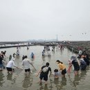 코레일-화성 시티투어 | [화성시] 시티투어 착한여행 ‘하루’ 3월 1일 본격 운영...온천 코스 신설