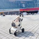 2026 메가주 일산 펫페어 5월 케이펫페어 펫박람회 1일차 후기