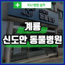 충남 동물병원 | 충남 계룡 신도안 동물병원 - 큐레이들 입원장 설치 후기
