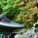 소울스테이 이미지