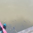 서진레포츠 이미지