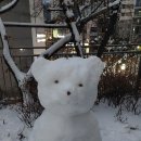 여미당구장 Daum카페