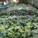 벌교학표대리점 이미지