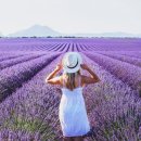 문화가 있는 날 <미선레나타의 샹송타고 떠나는 프랑스 여행> | 니스 프랑스 남부 투어 베르동 무스띠에 발랑솔, TV속 그 길 직접 가보니