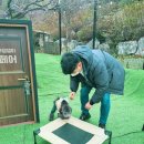 아틀리독 이미지