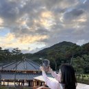 배럴앤베럴 | 다이슨 에어랩 id 세라믹 핑크 차이 멀티 거치대 내돈내산 추천 후기