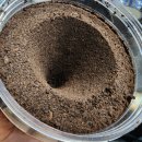 천공카센타 이미지