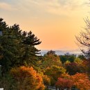 사상근린공원
생태주차장 | 부산피크닉 사상근린공원 가을나들이 부산아이와가볼만한곳