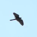 파랑새공원 이미지