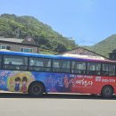 청실홍실여행사