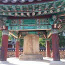순천 옥천서원 옆 느티나무 브런치