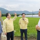 순천-13호 이미지