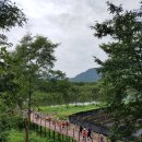 양산팔경 금강둘레길 이미지