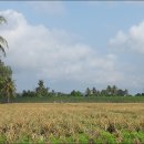 보석농장 이미지