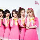 립버블 카카오 검색결과