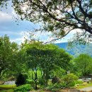 바우정원 이미지