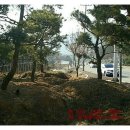 양평최고공인중개사사무소 이미지