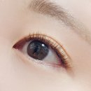 필레오트윈파크1동 이미지