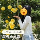 갈릭스 그릴