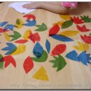 나무안경 이미지