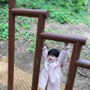 금촌유아숲체험원 이미지