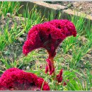 영양 산해리 오층모전석탑 이미지