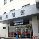 영광장례식장 | 부천성모병원장례식장에서 치른 따스한 장례후기, 더추모상조와 함께한 슬픔 속 따뜻한 배웅