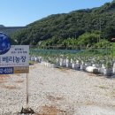 덕포농장 이미지