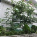 용산-181 이미지