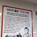 낙지세상 | 대구칠곡밥집으로 북구맛집추천 낙지세상 방문후기